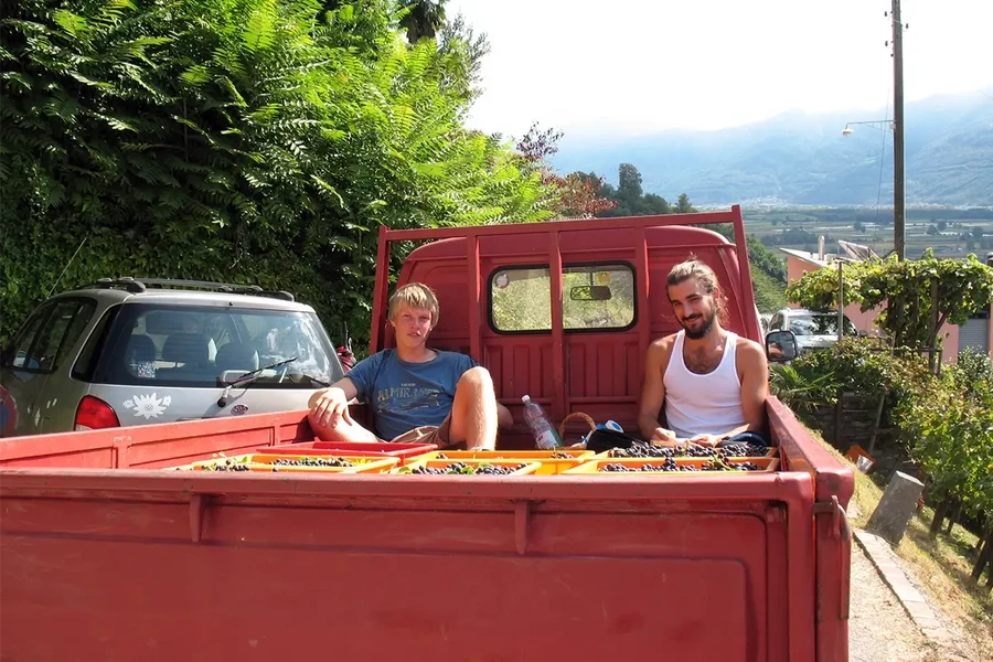 zis Reisen - Reisestipendium